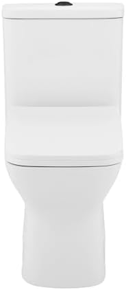 Swiss Madison Modern One-Piece Toilet