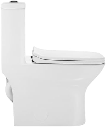 Swiss Madison Modern One-Piece Toilet