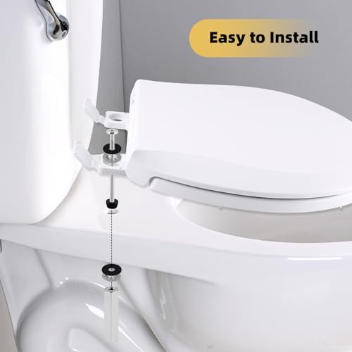 High-Quality Stainless Steel Toilet Seat Bolt Kit