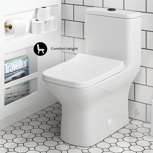 Swiss Madison Modern One-Piece Toilet