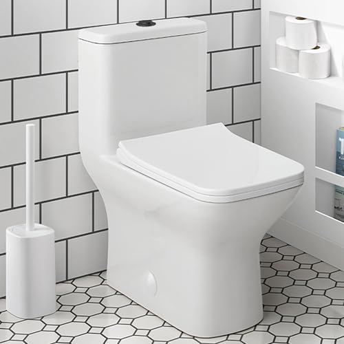 Swiss Madison Modern One-Piece Toilet