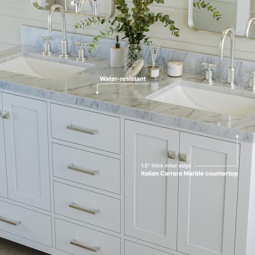 Ariel 61 White Double Bathroom Vanity with italian marble and soft-close features