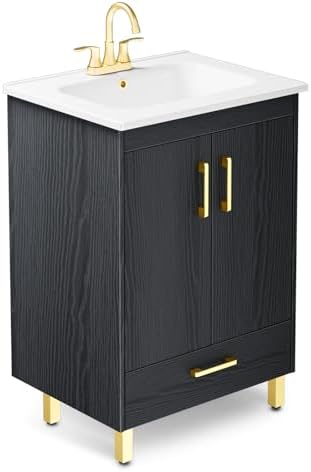 Phiestina Pre-Assembled Black 24 Bathroom Vanity