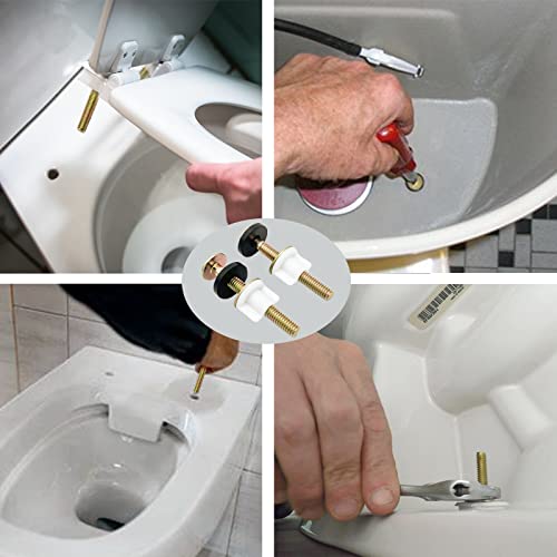 High-Quality Heavy Duty Toilet Seat Bolt and Screw Set