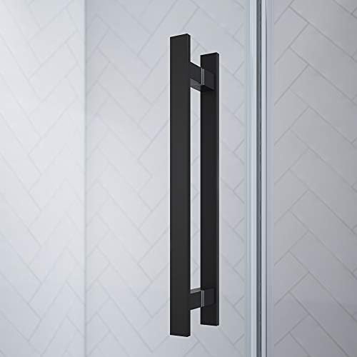 Endless Frameless Shower Door Black