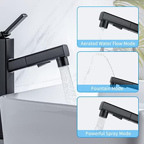 HANLIAN Single-Handle Pull-Out Bathroom Faucet