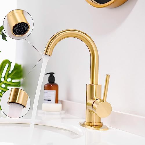 FROPO Gold Faucet