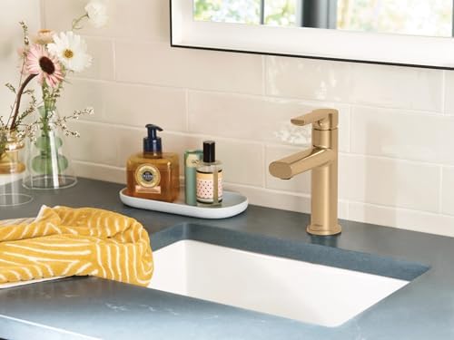 Moen Meena Bronze Gold Modern Faucet