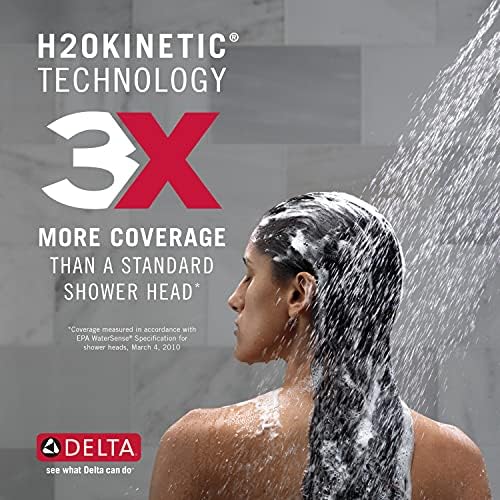 Delta In2ition 2 in 1 Dual Shower Head
