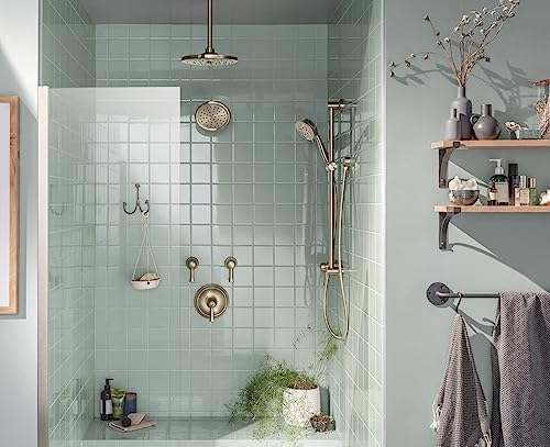MuenReplace Your Used Shower Arm FlangeBS