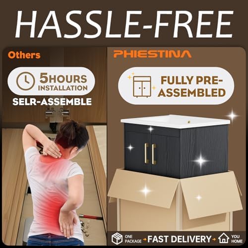 Phiestina Pre-Assembled Black 24 Bathroom Vanity