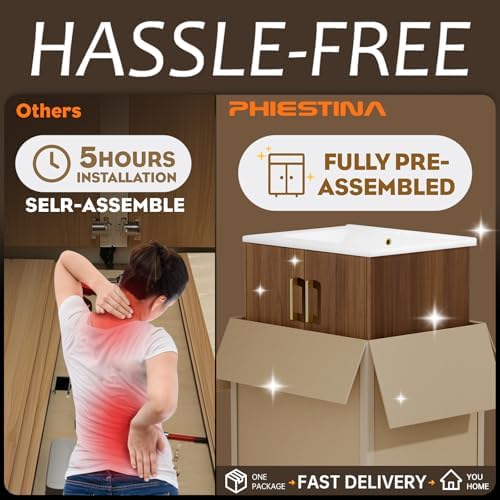 Phiestina 24 Inch Small Bathroom Vanity