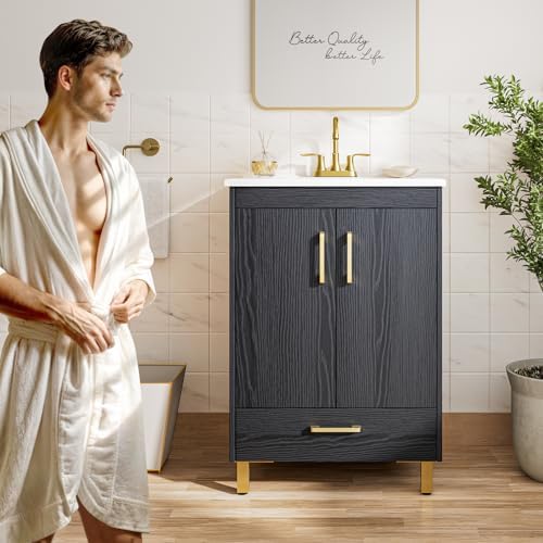 Phiestina Pre-Assembled Black 24 Bathroom Vanity