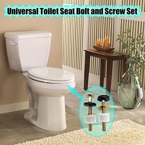 High-Quality 2Pcs Toilet Seat Bolt Set for Top Mount Toilets